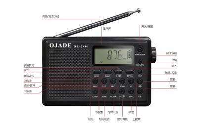 China OE-2401 Digital Radio Portable Bluetooth Radio with Type-C Charger Jack and MW 20 Channel Memory for sale