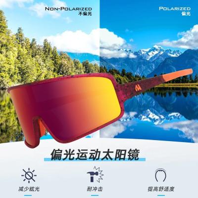 China Photochromic Recycling Trending Products Fashion Sunglasses TR90 Glasses Men Manufacturers Men Suppliers Yearbook 2023 for sale