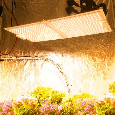 China Full Spectrum 0-10V Dimmable Grow Light 100w Samsung Lm301b 660nm IR UV Plant For Growing Light Dimmable Hydroponics Led To Grow Light for sale