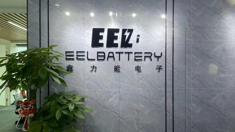 Fornitore cinese verificato - Shenzhen Eel Battery Co., Ltd.