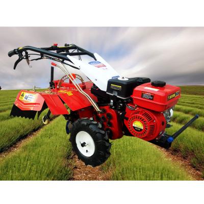 China Farms Low Price Tanzania Small Backpack Hand Push Raising Greenhouse Garden Diesel Engine Air Cooled Cultivator Power Rotary Tiller for sale