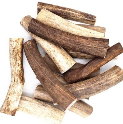 China Stocked Natural Snack Deer Antler Stick For Clean Molar Teeth Deer Horn For Dog Chew for sale