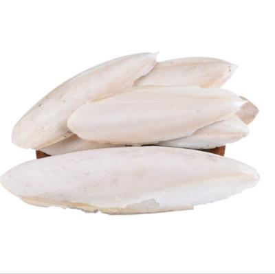 China Stored High Quality Dry Cuttlebone Sepium Cuttlefish Bone For Birds for sale