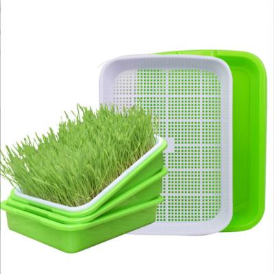 China Plastic Seedling Tray Plastic Polystyrene Hydroponics Seedling Tray Nursery Sprout Tray for sale