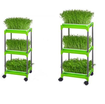 China Seedling Tray Rack Microgreen Planter Shelf Stainless Steel Hydroponic Seedling Storage Tray for sale