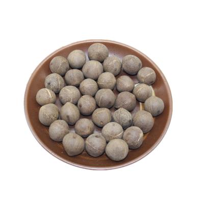 China Hai Ye Huang Jubaea Chilensis Fruit Factory Supply Fresh Coquito Nuts for sale