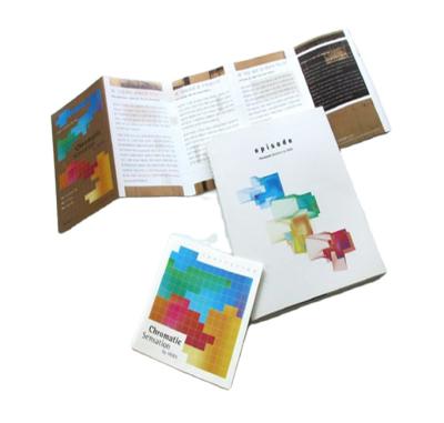 China paper & Cardboard printed all flyer set, folder, booklet, business company elements for sale