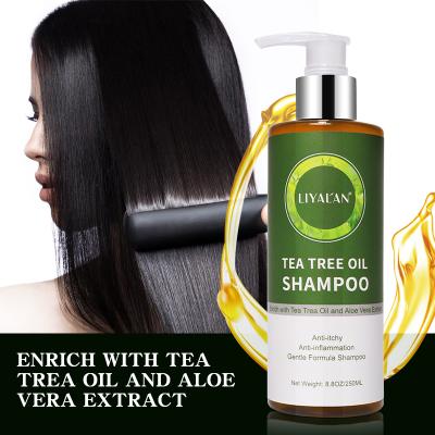 China Color-Protection OEM Customized Shampoo Hair Growth Sulfate Free Shampoo Biotin Tea Tree Oil Anti Irritating Hair Shampoo for sale