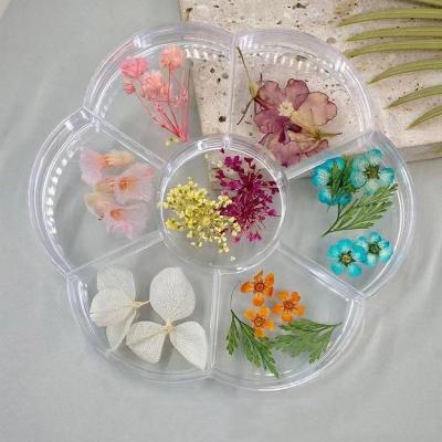 China Large Separated Transparent Acrylic Box Flower Viable Storage Box Rhinestone Jewelry Art Nail Box for sale