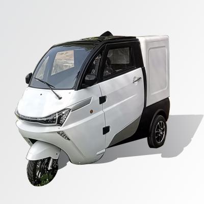 China New Arrived Mini Cargo Electric Freight Transport Van for sale