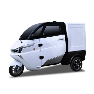 China Fabric Guarantee Quality Transport Trucks Logistics Battery Adult Electric Vehicles for sale