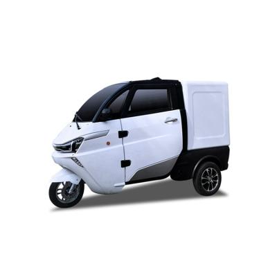 China Efficient Fabric Logistics Transport Vehicle Chinese Smart Cased 3 Wheel Electric Vehicle for sale