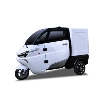 China Fabric 2021 New Promotion Hot Selling 3 Wheel Logistics Electric Company Vehicle for sale