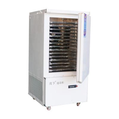 China Hotels Quick Freezing Blast Freezer Equipment Freezer -80 Degree For Food Production In Factory Or Restaurant for sale