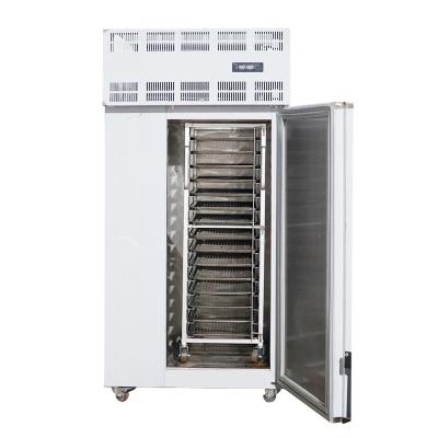 China Frozen Food Freezing Equipment Scope Minus -45 Centigrade Blast Freezer Machine/Cabinet Freezer IQF Rapid Cryogenic Blast for sale