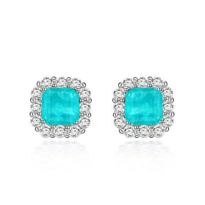 China FASHIONABLE New Style Hot Selling Paraiba 925 Tremella Studs INS Customized Female Ear Jewelry Source Factory for sale