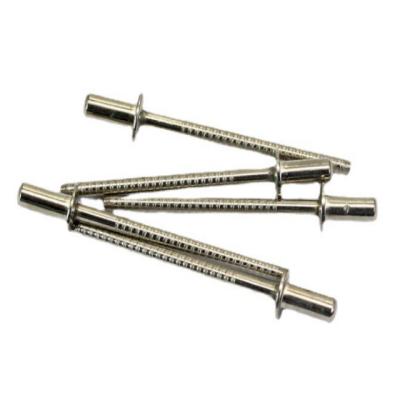 China High Quality Custom Closed Type Stainless Steel Blind Pop Rivets Gun With Flat Round Head for sale