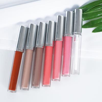 China Best Quality Multi Color Waterproof Private Label Matte Glossy Makeup Lip Gloss Custom Made Lip Gloss for sale