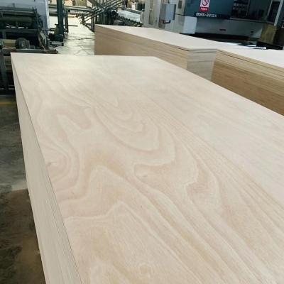 China Modern Poplar / Combi Core Commercial Plywood With Okoume Face&back for sale