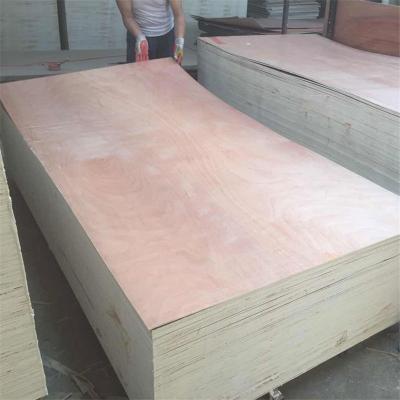 China 1220X2440mm Okoume/Bintangor/Pencil cader/Sapele/Pine modern commercial plywood for furniture for sale