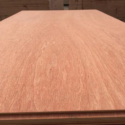 China 1220x2440x3/4/5/6/8/9/12/15/18mm normal commercial plywood for furniture and construction for sale