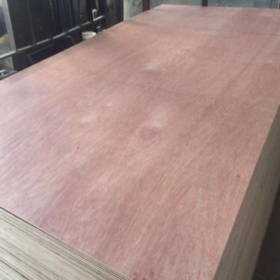 China Cheap Contemporary Packing Plywood Plywood Okoume Plywood For Sale for sale