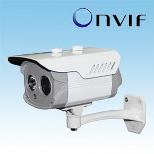 China H.264 Waterproof Megapixel IP Camera with a LED Array 20m IR Range for Outdoor Use for sale