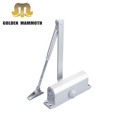 China Modern Aluminum Silent Hydraulic Automatic Concealed Door Closer Hardware Floor Spring Concealed Middle Square Type Door Closer for sale