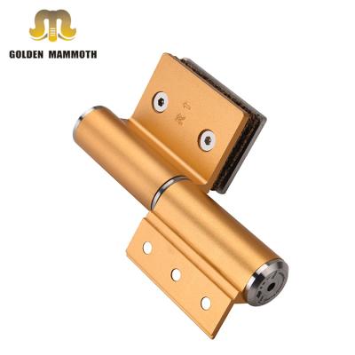 China Modern Aluminum Gold Hydraulic Soft Slient Door Closer Top Compartment G-Type Hinges For Door Eco Friendly for sale