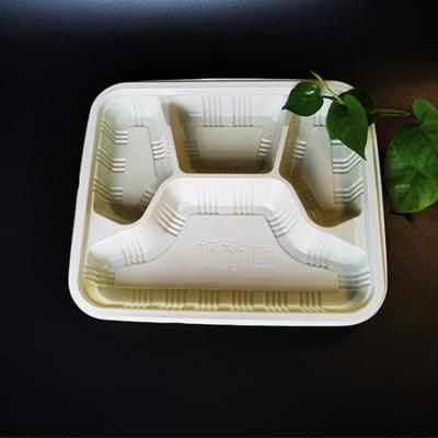 China Custom Fast Food Multiple Plastic Box Disposable Food Packing Boxes Disposable Food Container for sale