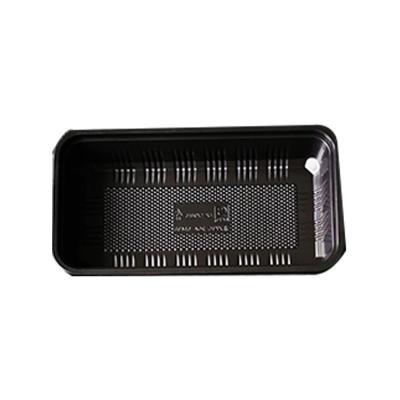 China Widely used takeout food packaging box heat insulation barbecue skewer lunch box grilled fish barbecue box for sale