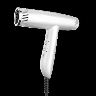 China New Version One Stage Ionic Ion Hair Dryer Negative Volume Hair Style Hot Curling Airbrush Blow Dryer Hair Supplier Manufacturer for sale