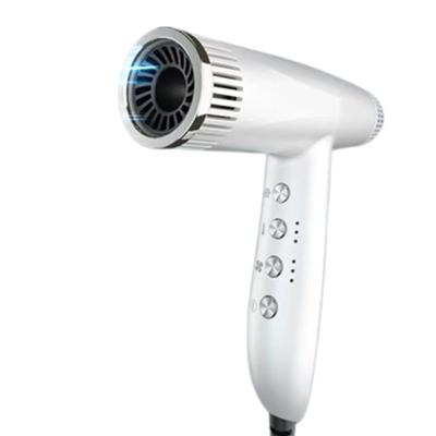 China Strong Wind Ionic High Speed ​​Hair Dryer Hair Dryer Wholesaler Leafless Supplier for sale