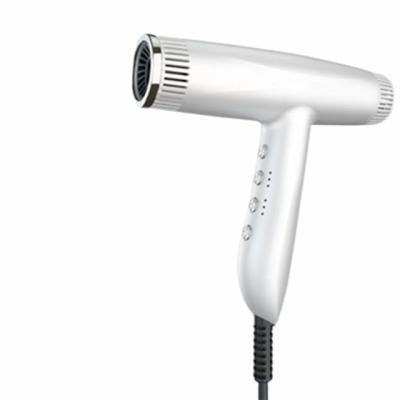 China FEIYIN Ionic Multifunctional Private Label Customize Hair Dryer Blow A Stage Hot Air Hair Dryer for sale