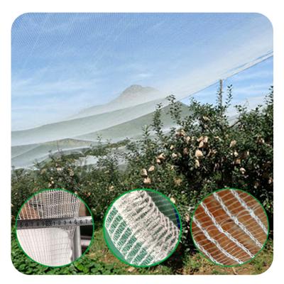 China Protect Vegetable And Soft Fruit Crops From Bees Plant Protection Anti Hail Net / Greenhouse Insect Proof Mesh / Agricultural Plastic Products Anti-bee Netting for sale