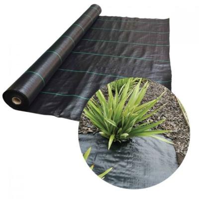 China Hot Selling 100% Virgin HDPE Grass Anti Plastic Mesh Control Mat for sale