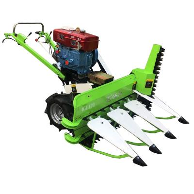 China Miwell 4G120D Mini Rice Harvester Cutting Machine Alfalfa Reaper with Vertical Knife for sale