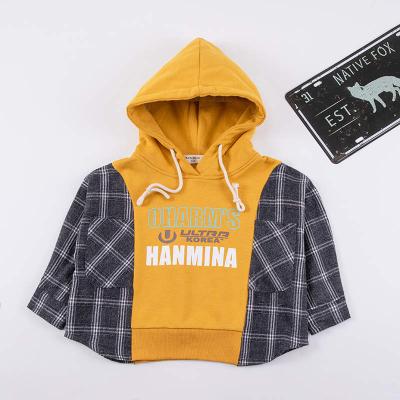 China Wholesale New Style Viable Autumn Season Children's Clothing Boys Sweatshirt Hoodie for sale