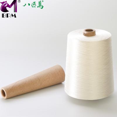 China Low Shrinkage 120D/2 100% Viscous Rayon Filament Embroidery Thread for sale