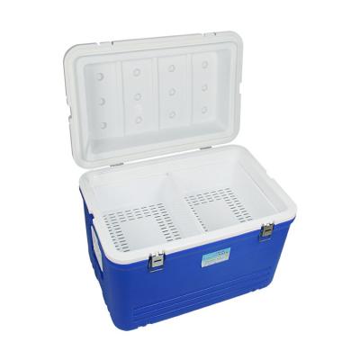 China Waterproof Outlet Plastic Injected Temperature Control Camping Cooler Boxes for sale