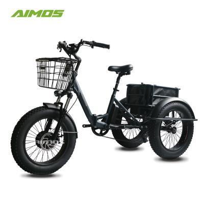 China Aluminum Alloy Tricycle Beach Snow Bicycle Three Wheel 750W 48V Electric Tricycle for sale