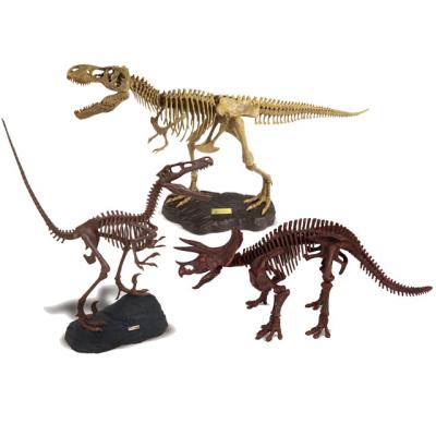 China Museum Dinosaur Toys Jurassic Realistic Triceratops - Museum Dinosaur Teeth Quality - Quality Large for sale