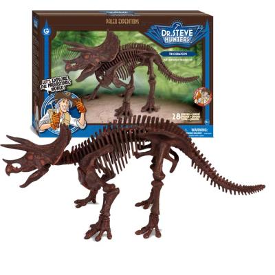 China Jurassic Realistic Triceratops Dinosaur Toy World Skeleton Model Toys Full Set for sale