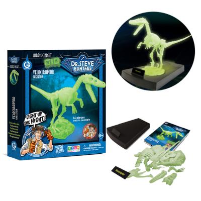 China Museum-Quality Dinosaur World Skeleton Jurassic Dinosaur Good Glow Skeleton Toys for sale