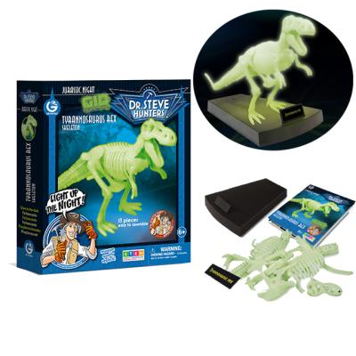 China Toys PULL BACK T-rex Dinosaur Toys Glow In The Dark Dinosaur Toys World T-rex Dinosaur Toys for sale