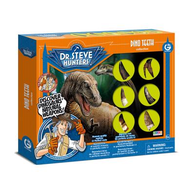 China Toys Jurassic World Dinosaur Teeth Collection 4.3in-11cm Stem High Quality Toys for sale