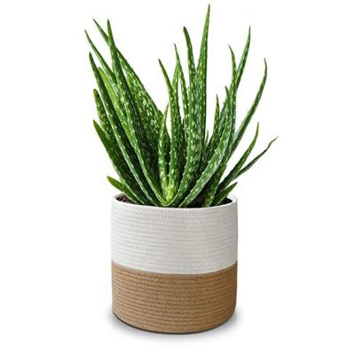 China Modern Indoor Cotton Rope Plant Basket Planter Up Woven Flower Pot Storage Organizer With Handles Home Decor for sale