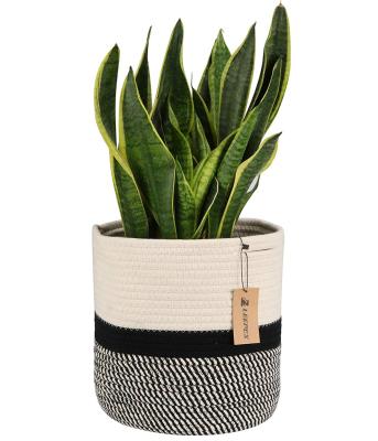 China Small Jute Cotton Rope Basket for Plants Fits Up Plant Potted Storage Basket Organizer for Modern Home Decor Unbleached Natura for sale