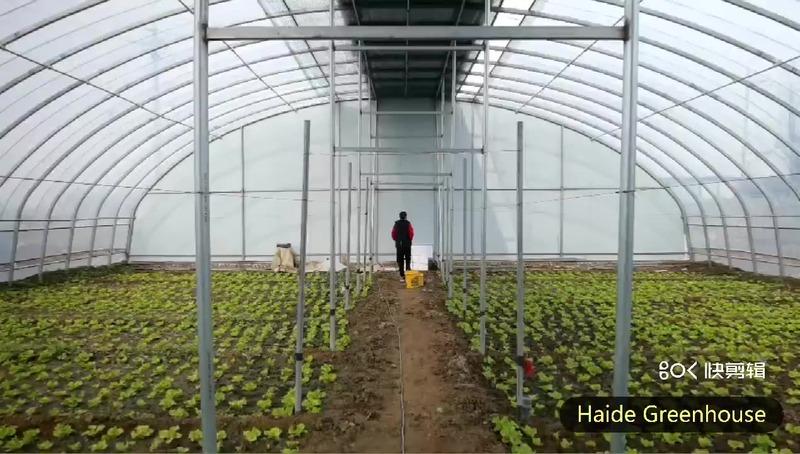 Verified China supplier - Haide Agriculture & Husbandry Technology (tianjin) Co., Ltd.