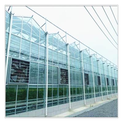 China Venlo Vegetable Agricultural Multi Span Tomato Strawberry Flowers Fruit Glass Greenhouses for sale